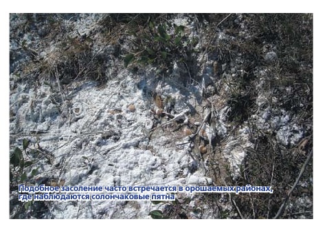 Гипсование почвы - приемы исправления засоленных почв